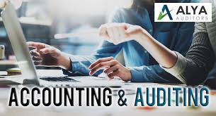 Course Image DBF 2221 Introduction to Auditing